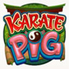 wild symbol - karate pig