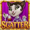 scatter - kitty cabana