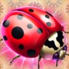 ladybug - lady luck