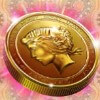 gold coin - lady luck