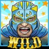 the fighter in the blue mask: wild symbol - luchadora
