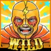 fighter in the orange mask: wild symbol - luchadora