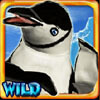 wild symbol - lucky 3 penguins