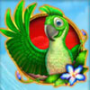 green parrot - lucky birds