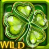 clover: wild symbol - lucky clover