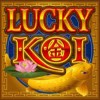 wild symbol - lucky koi