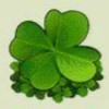 shamrock - lucky ladys charm deluxe