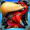 parrot pirate - lucky pirates!