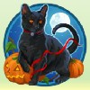 black cat - lucky witch