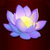 the revealed lotus - lucky zodiac