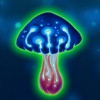 wild symbol - magic mushrooms