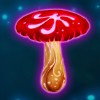 wild symbol - magic mushrooms
