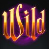 wild symbol - magic portals