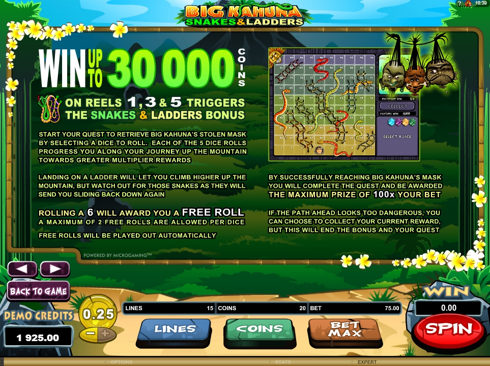 big kahuna snakes and ladders slot machine detail image 2