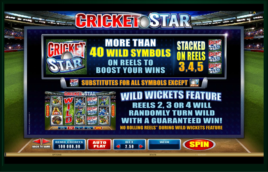 cricket star slot machine detail image 3