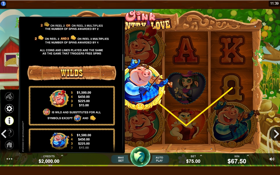 oink country love slot machine detail image 3