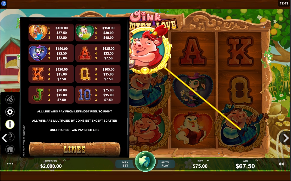 oink country love slot machine detail image 1