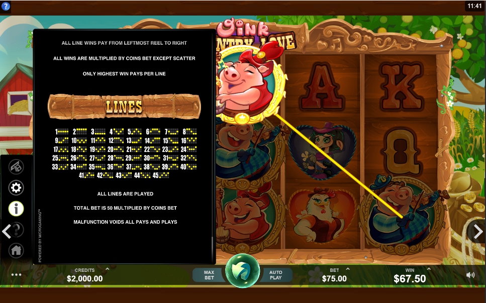oink country love slot machine detail image 0