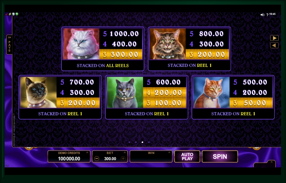 pretty kitty slot machine detail image 1