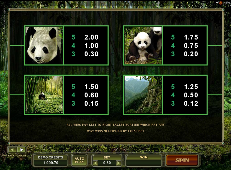 untamed giant panda slot machine detail image 1
