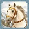 white horse - mongol treasures