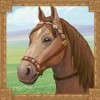 brown horse - mongol treasures