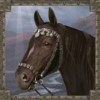 black horse - mongol treasures