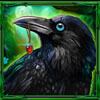 black raven - mystic moon