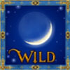 wild symbol - nostradamus prophecy