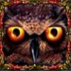 wild symbol - owl eyes