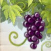 grapes - pandoras box