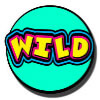 wild symbol - party games slotto