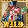 wild symbol - piggy riches