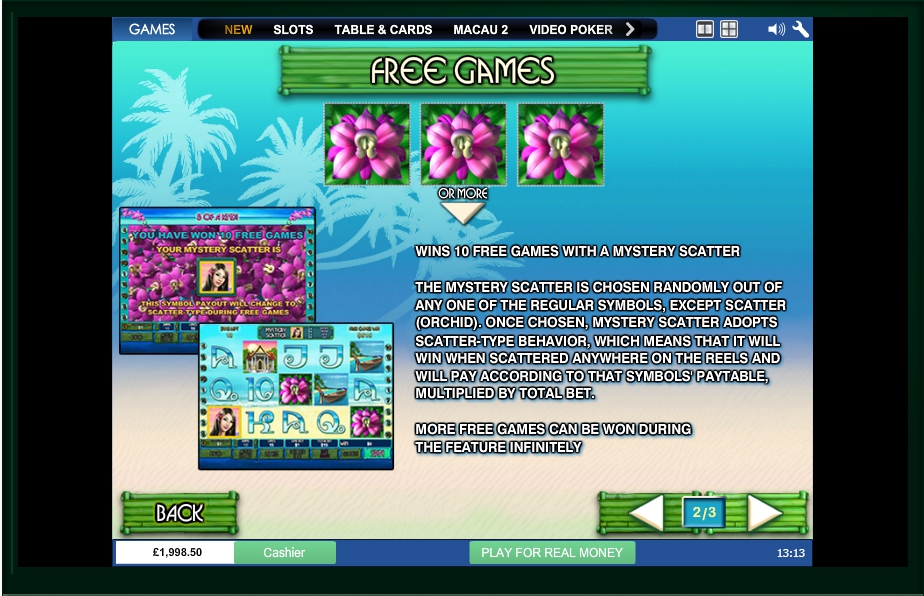 thai paradise slot machine detail image 1