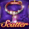 collar: the scatter symbol - pretty kitty