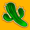 cactus - red chilli