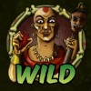wild symbol - relic raiders