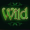 wild: wild symbol - robyn