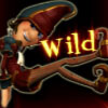 wild symbol - rumpel wildspins