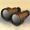 binoculars - safari