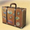 suitcase - safari
