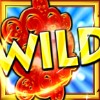 wild: wild symbol - samurai split