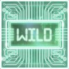 wild: wild symbol - satoshis secret