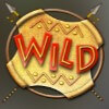 wild: wild symbol - savanna king