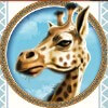 giraffe - savanna king