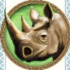 rhinoceros - savanna king