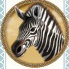 zebra - savanna king