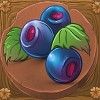 blueberries - seasons