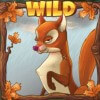 fox - autumn wild - seasons