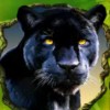 panther - secrets of the amazon